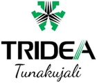 Tridea logo